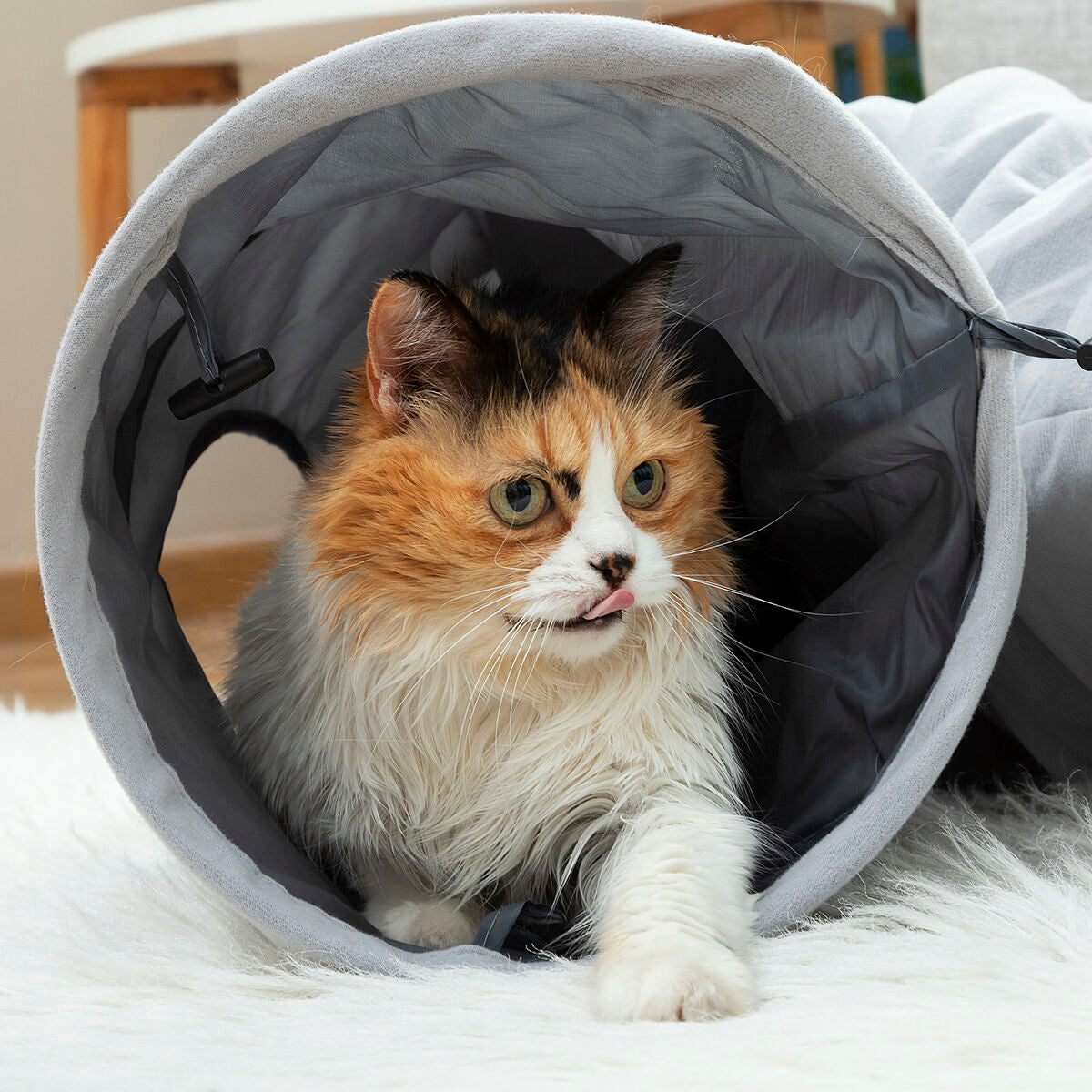 Collapsible Pet Tunnel Funny Toy