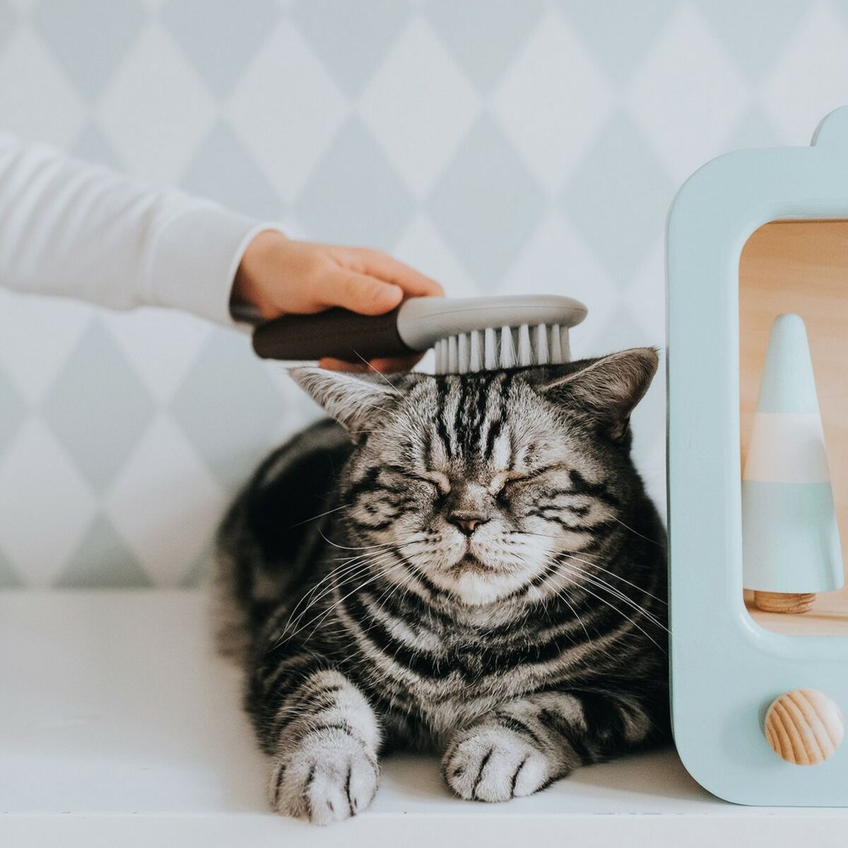 Dog Brush Extra Soft Bristles