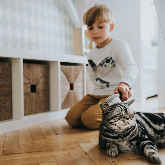 Dog Brush Extra Soft Bristles